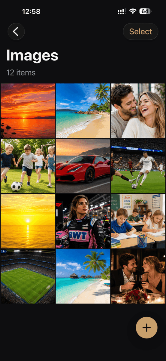 Photo grid showing 12 images in the vault